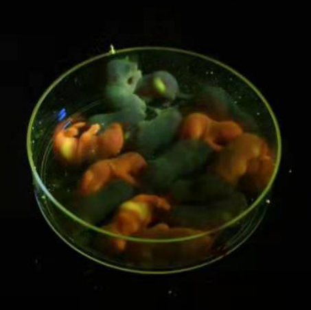 1615971140104665.png 圖片14.png