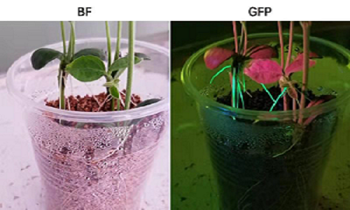 1615971198586046.png 圖片15.png