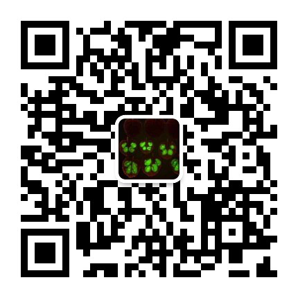 1615971484586666.png 圖片21.png