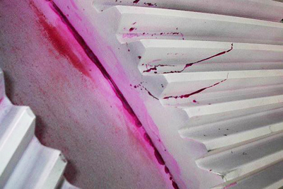 葉片缺陷著色滲透