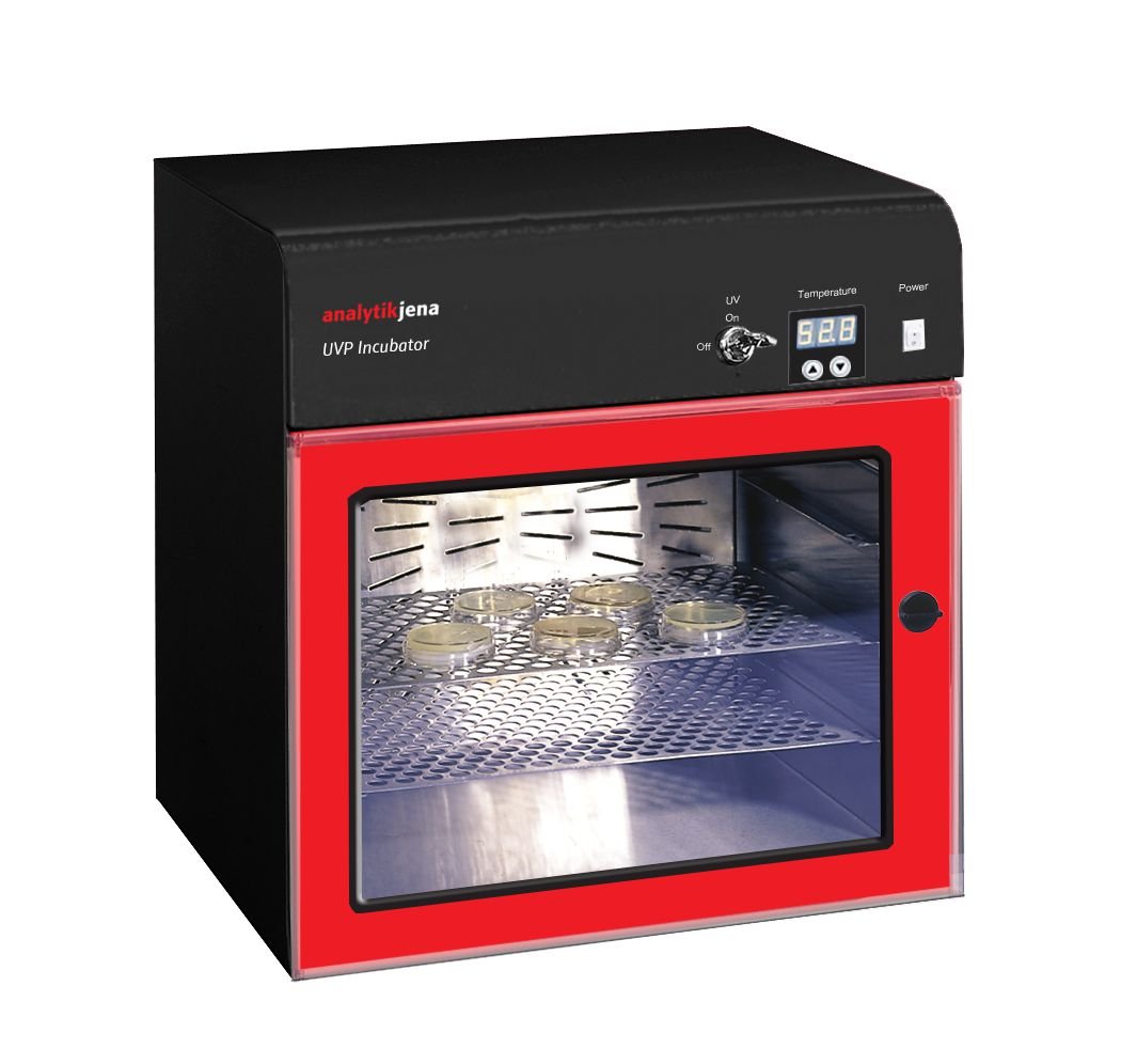 1617238008241623.jpg 1612762807254779.jpg