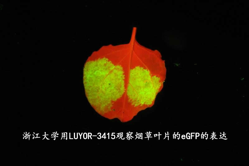 1611216738660243.jpg 浙大.jpg