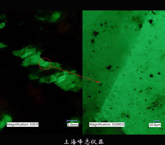 1619812756555454.jpg sfa-k-11_fs.jpg