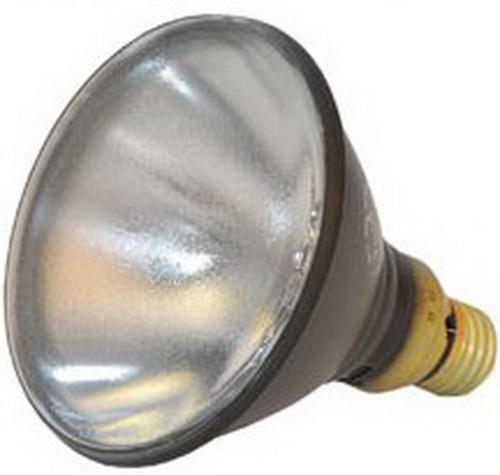 1627540156.jpg 808-se-ble-100s_mc.jpg