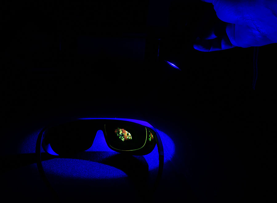 Xite-RB and glasses with a fluorescent mineral Xite-featured.jpg