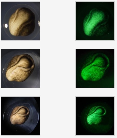 1644803119.jpg 636655320376626135162.jpg