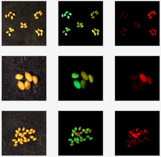 1644803131.jpg 636655320742141164627.jpg