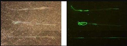 1644803157.jpg 636655321391581653813.jpg