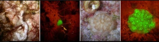 1644803168.jpg 636655321887671193121.jpg