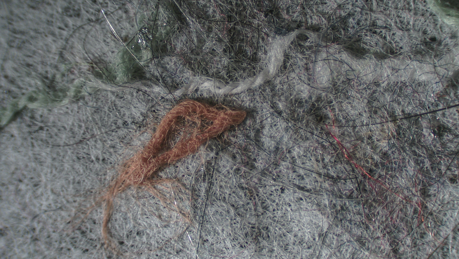 微塑料在白光照射的觀察效果 微塑料在白光照射的觀察效果