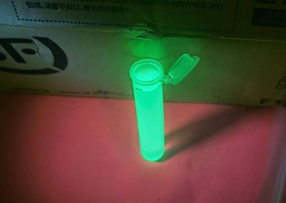 綠色熒光微球在激發光源照射下的熒光效果 綠色熒光微球在LUYOR-3415RG照射下的熒光效果