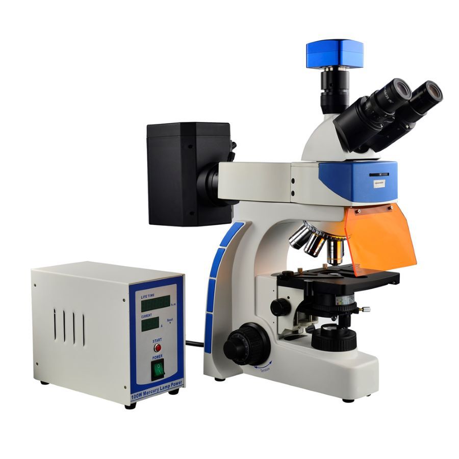 熒光顯微鏡 熒光顯微鏡