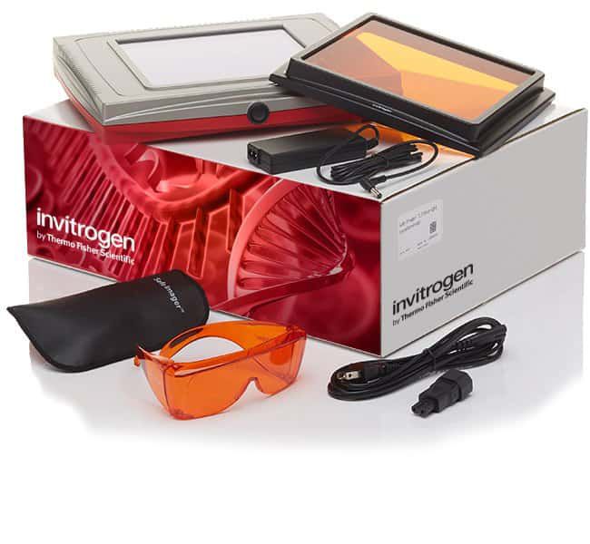 賽默飛藍光透射儀Safe Imager™ 2.0 