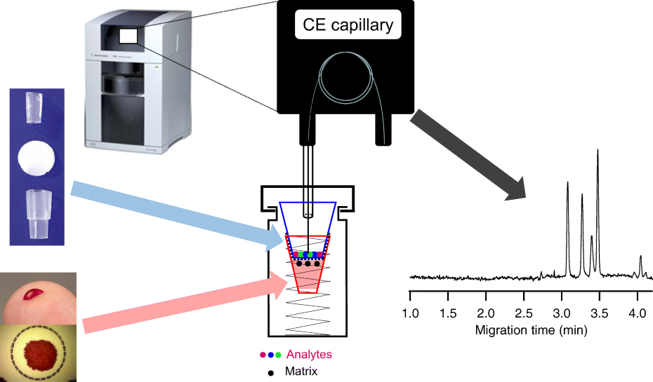 毛細管電泳的優勢 毛細管電泳的優勢