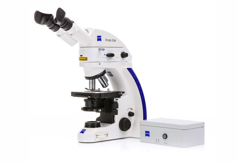 1664799509.jpg primo-star.jpg