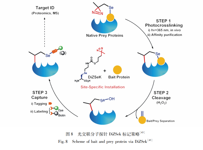 1664827108.png QQ圖片20221004035519.png