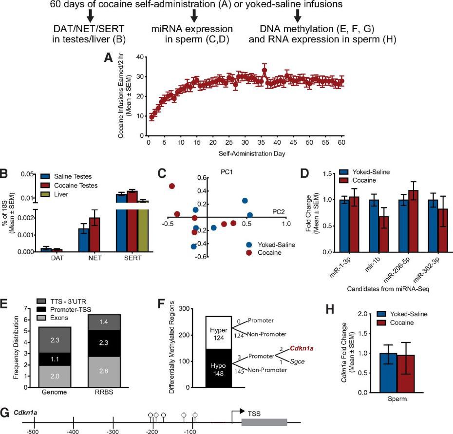 1665149126.jpg F1.large.jpg