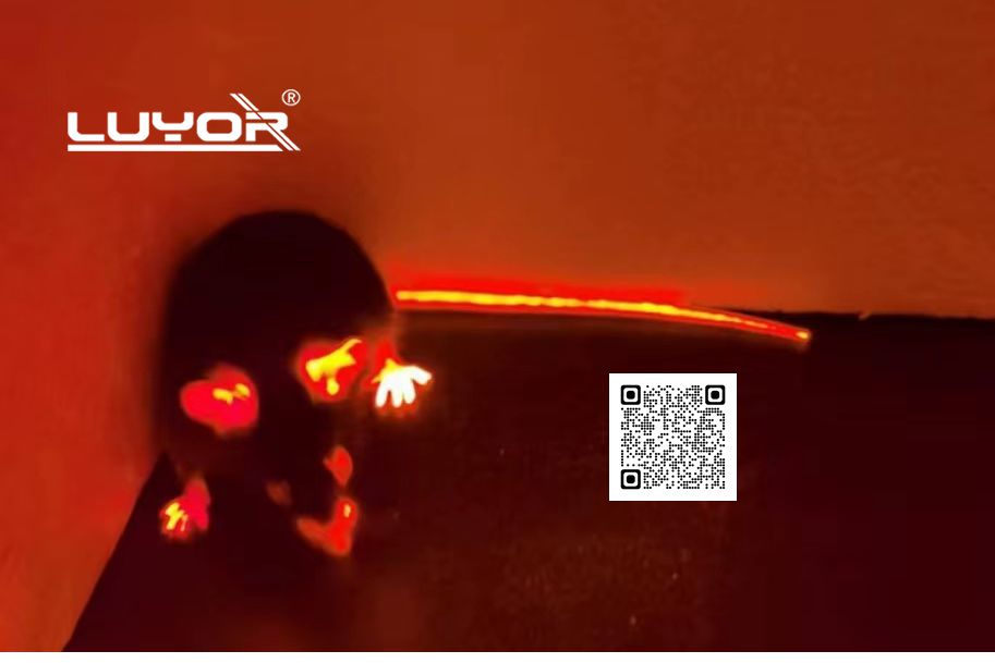 觀測FUCCI小鼠的紅色熒光 觀測FUCCI小鼠的紅色熒光