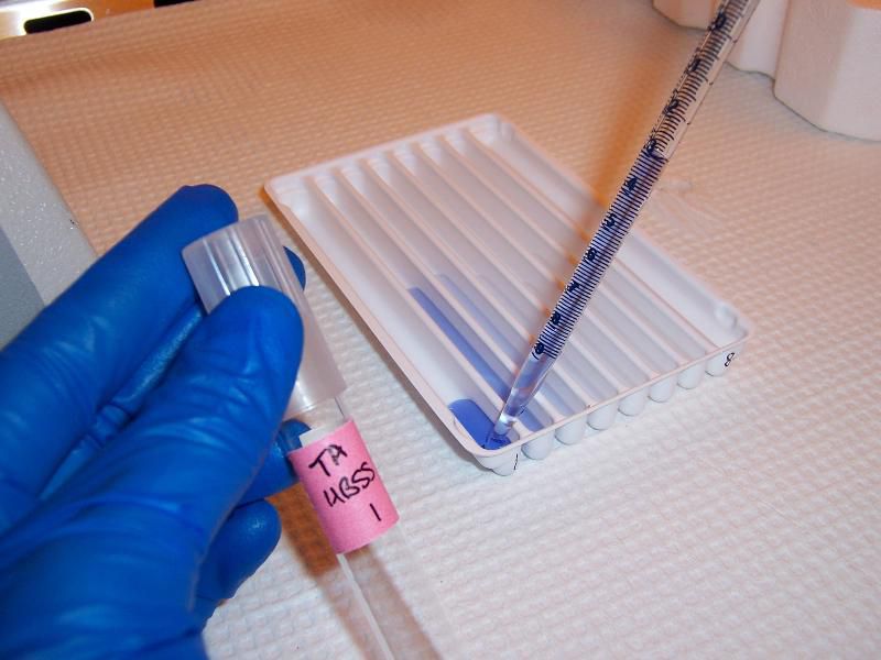 1679013858.jpg d3f0e17e-0e5b-4c43-bdb9-62b432e8dbf0.jpg