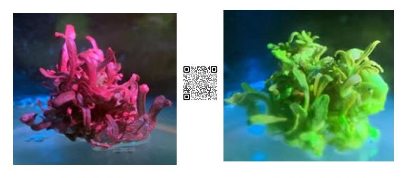 1691414803.jpg 1677659857.jpg