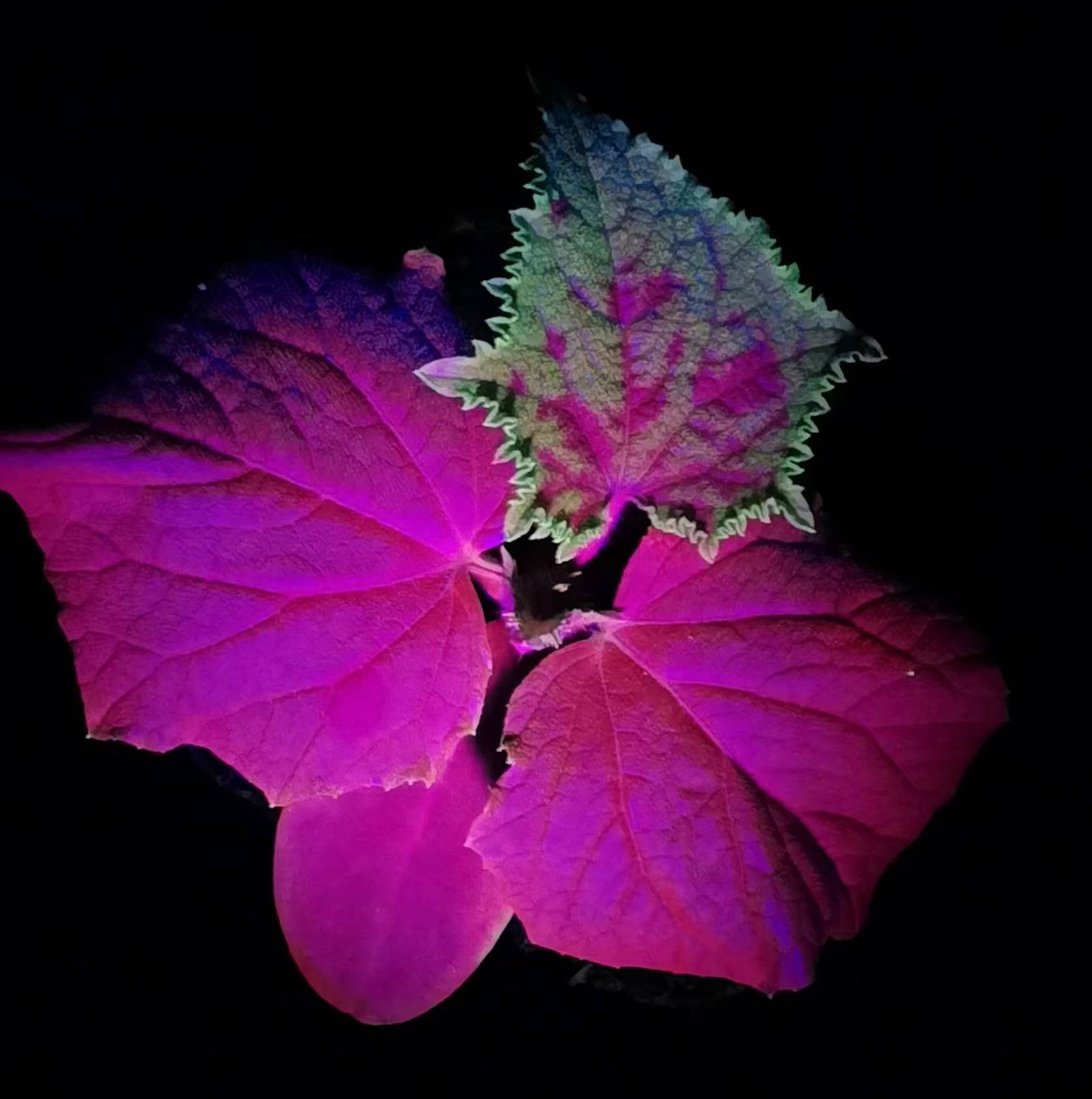 1691415714.jpg .圖片_20230801144414.jpg