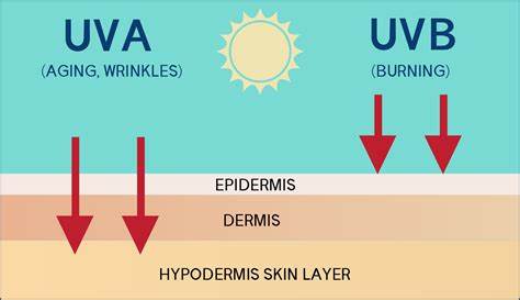 1691425842.jpg OIP-C (9).jpg