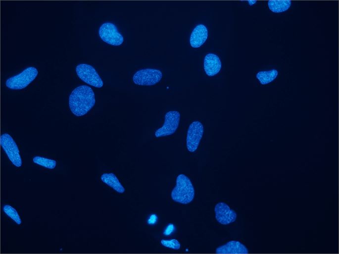 1699844720.jpg 5930-0006.jpg