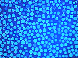 1770855843.gif reflectionsheet.gif